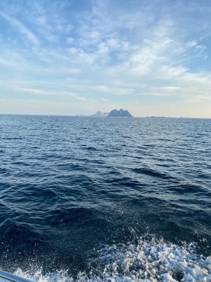 High End Sea Cabins At A In Lofoten Москенесей Екстер'єр фото
